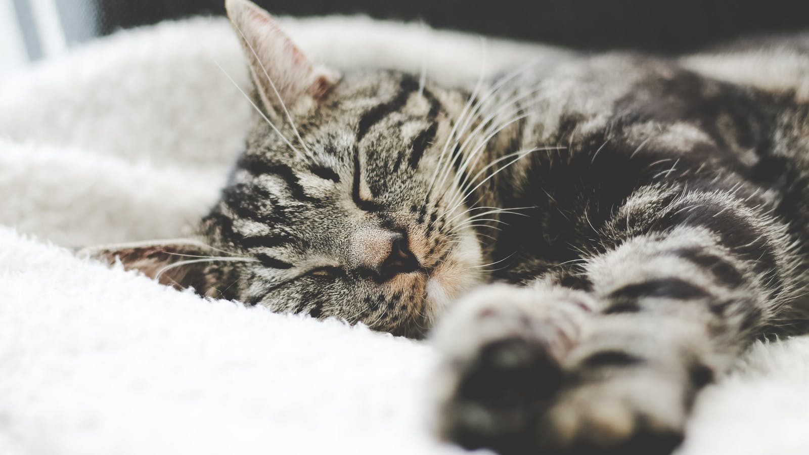 Dormir mieux la nuit : la solution pour une meilleure alimentation - Epycure