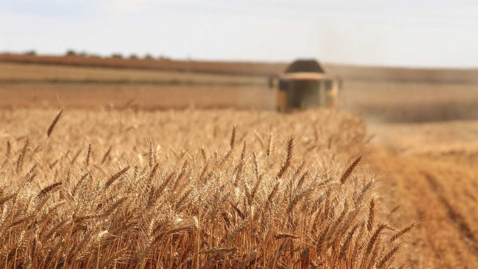 La nutriécologie : mieux manger, du champ à l’assiette - Epycure