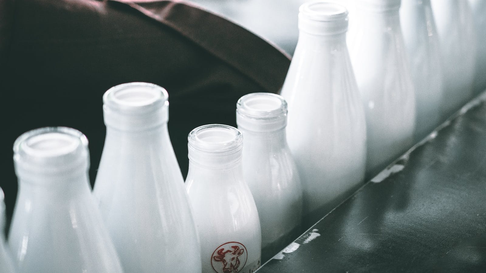 Produits laitiers : comment les choisir ? - Epycure