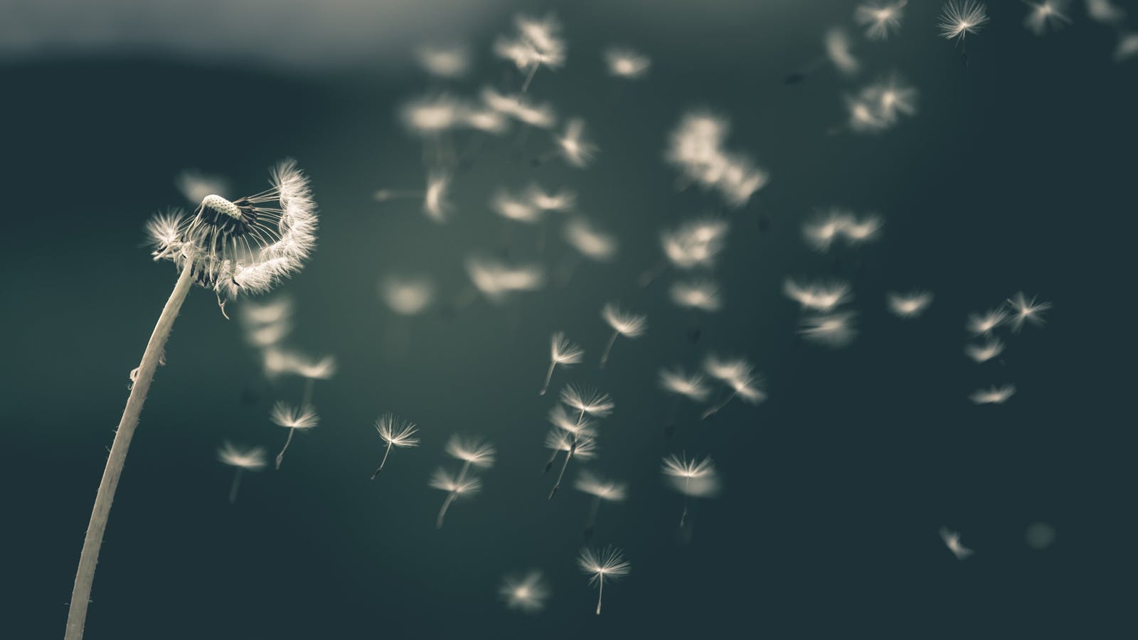 Que faire pour booster son immunité et prévenir le virus ? - Epycure