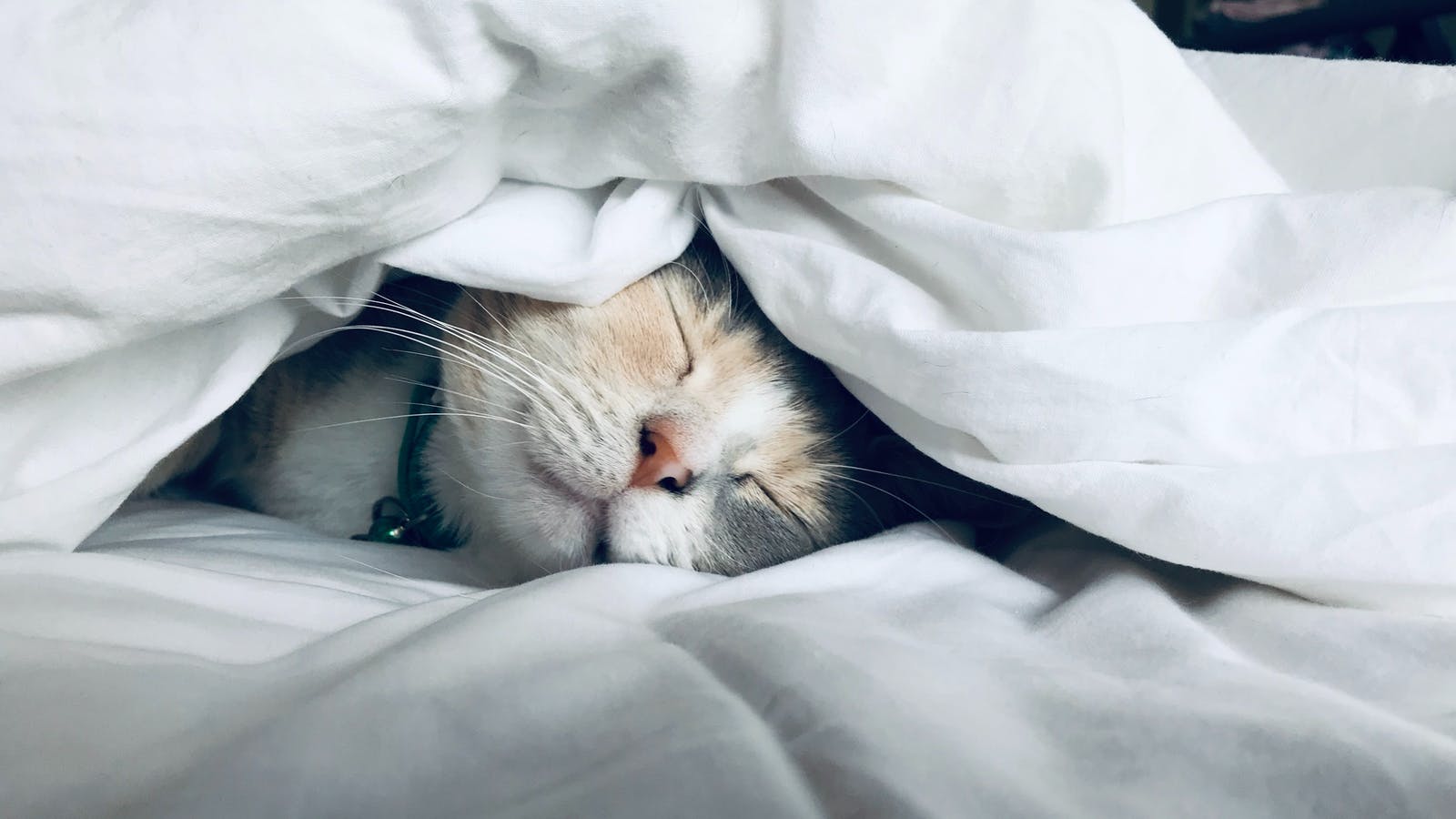Que manger pour bien dormir ? - Epycure