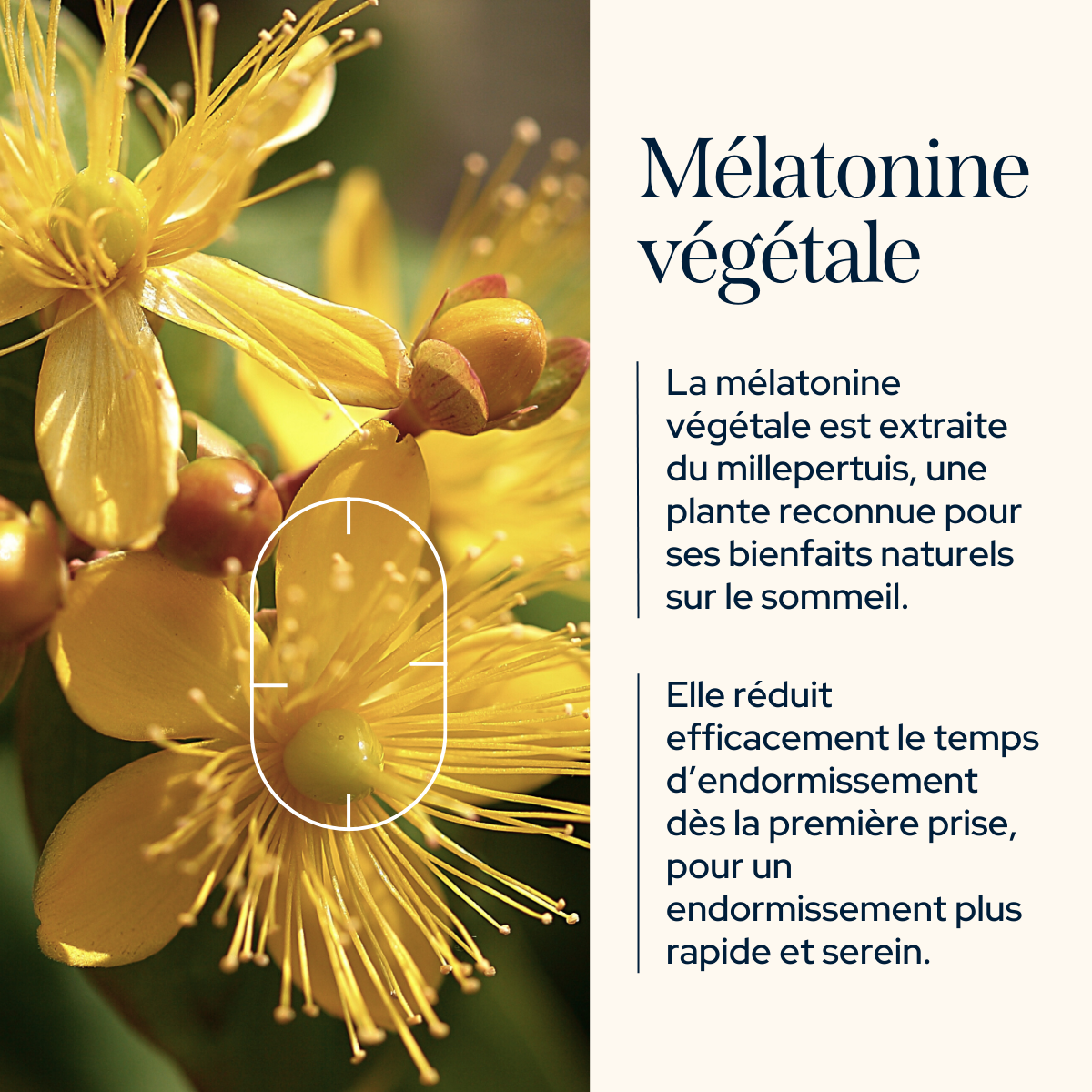 Routine sommeil