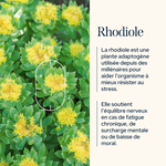 Vitality routine