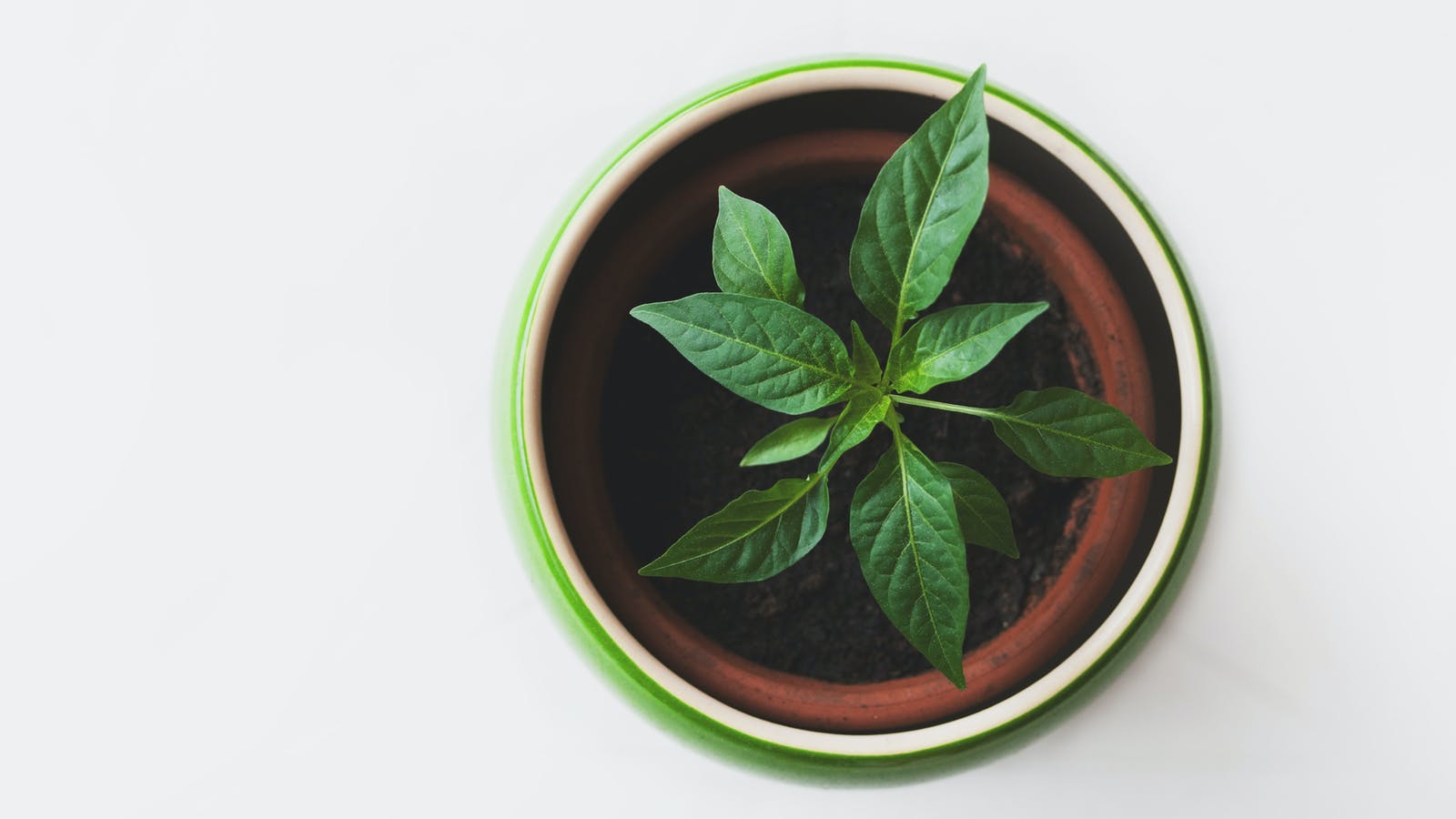 3 raisons de se mettre à l'alimentation vivante - Epycure