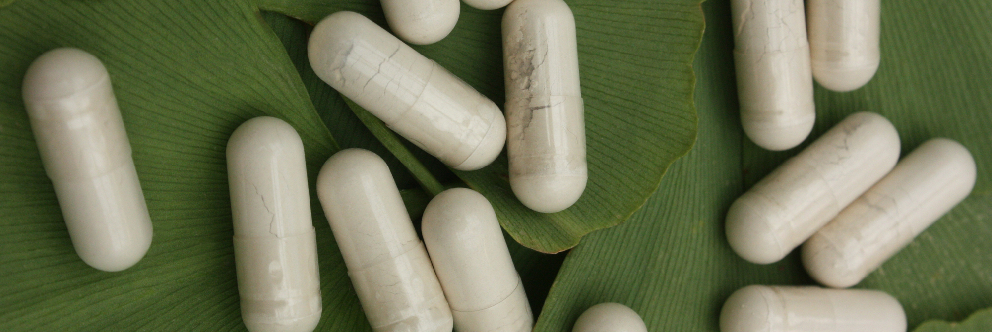 Quelle est la différence entre prébiotique et probiotique ?  - Epycure