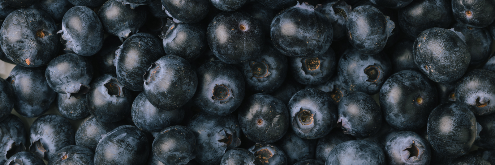 Glycémie : le guide pour comprendre, réguler et éviter les pics de sucre