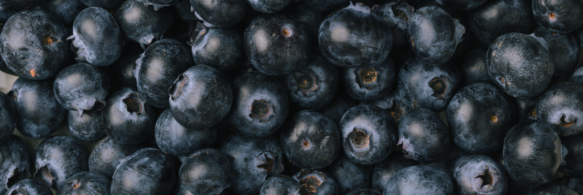 Glycémie : le guide pour comprendre, réguler et éviter les pics de sucre