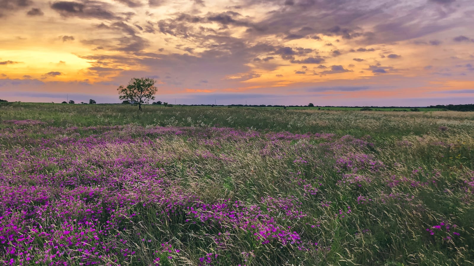 Asthme : comment mieux respirer avec la naturopathie ? - Epycure