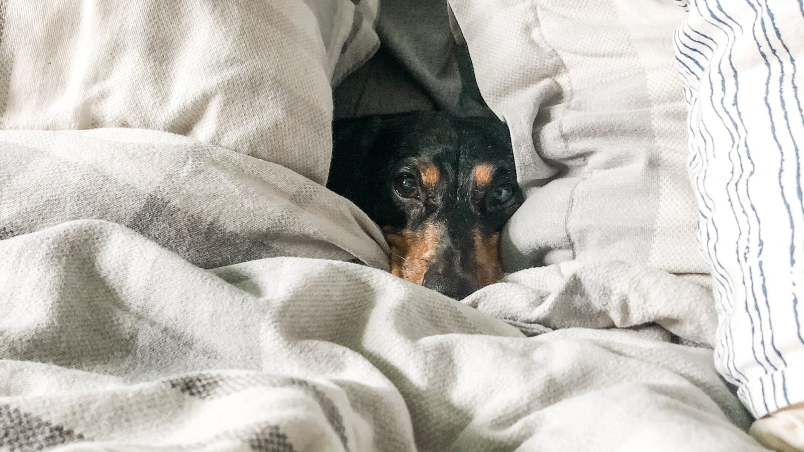 Changement de saison : les clés d'une alimentation anti-stress - Epycure