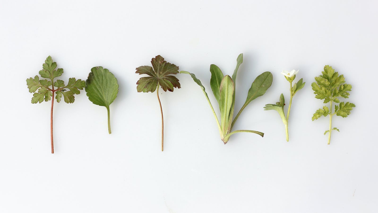 Comment prendre sa cure ? - Epycure