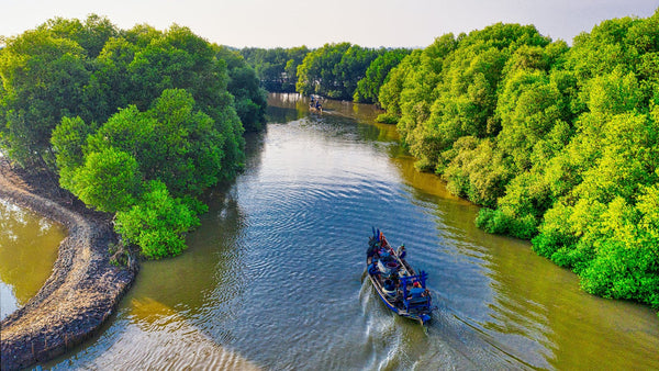 Epycure et la Fondation Terre Solidaire s'associent pour le Vendredi Engagé 🌱