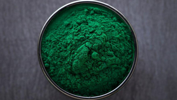 La spiruline : une algue de fer