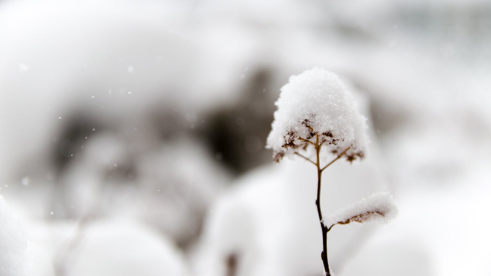 Les bienfaits du froid - Epycure