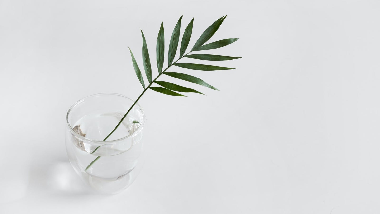 Optimisez votre santé grâce à la naturopathie - Epycure