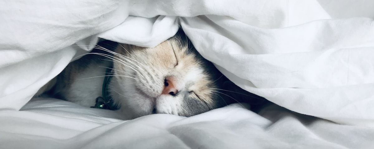 Personne qui dort paisiblement - améliorer son sommeil naturellement