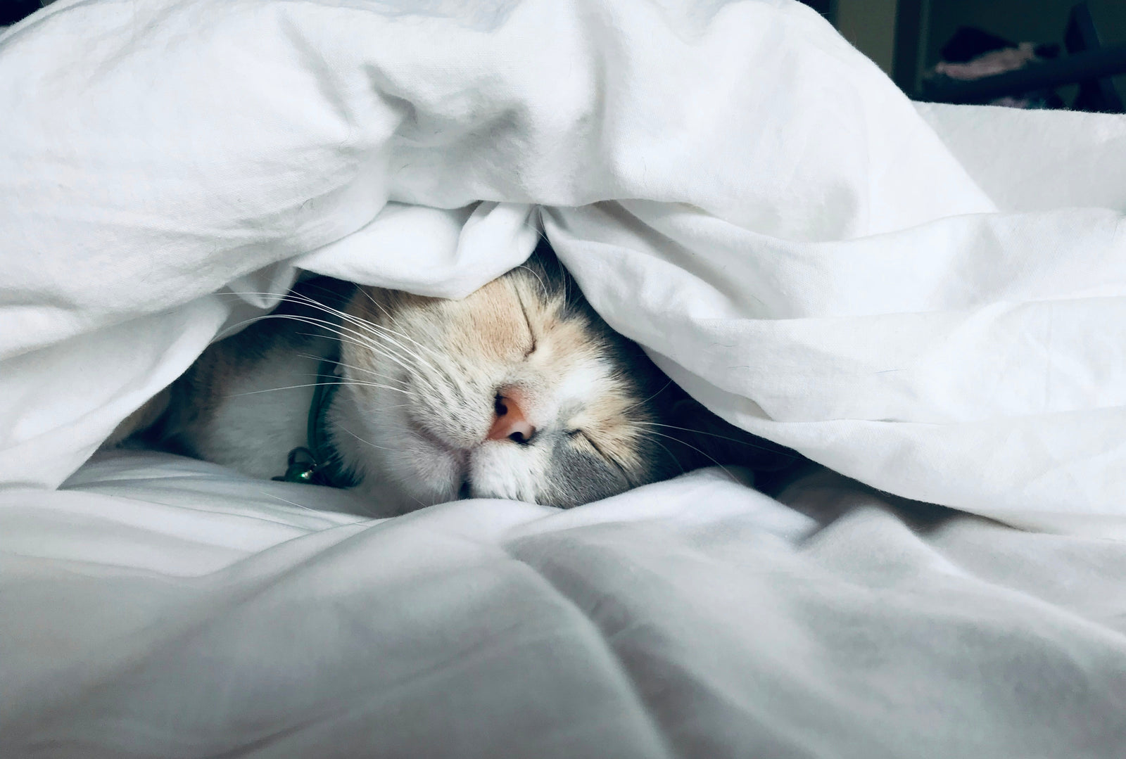 Femme endormie paisiblement dans un lit douillet