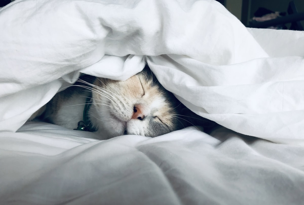 Femme se réveillant fatiguée le matin malgré une nuit complète de sommeil