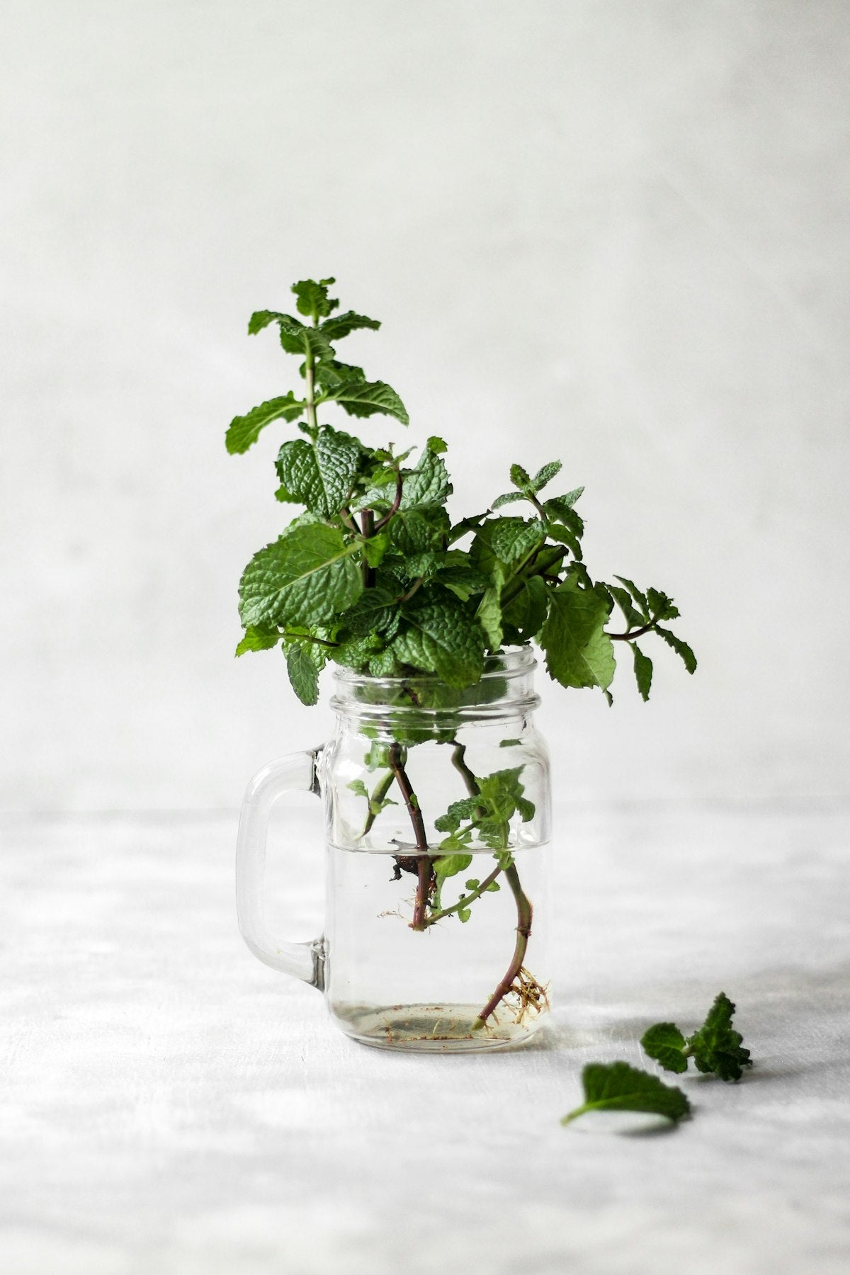 Infusion de menthe dans un verre, plante digestive naturelle