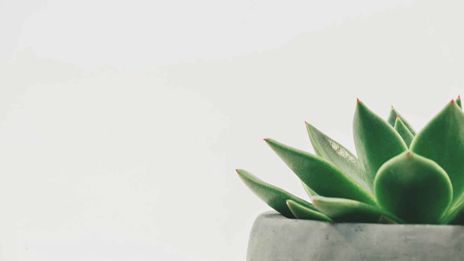 Pourquoi prendre un complément alimentaire ? - Epycure