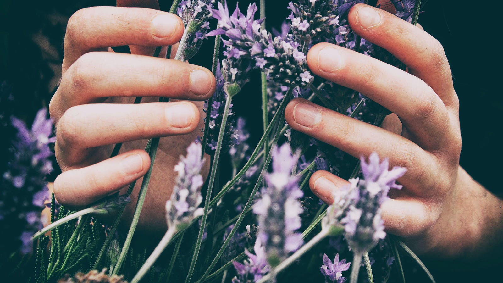 Prendre soin de sa digestion grâce aux huiles essentielles - Epycure