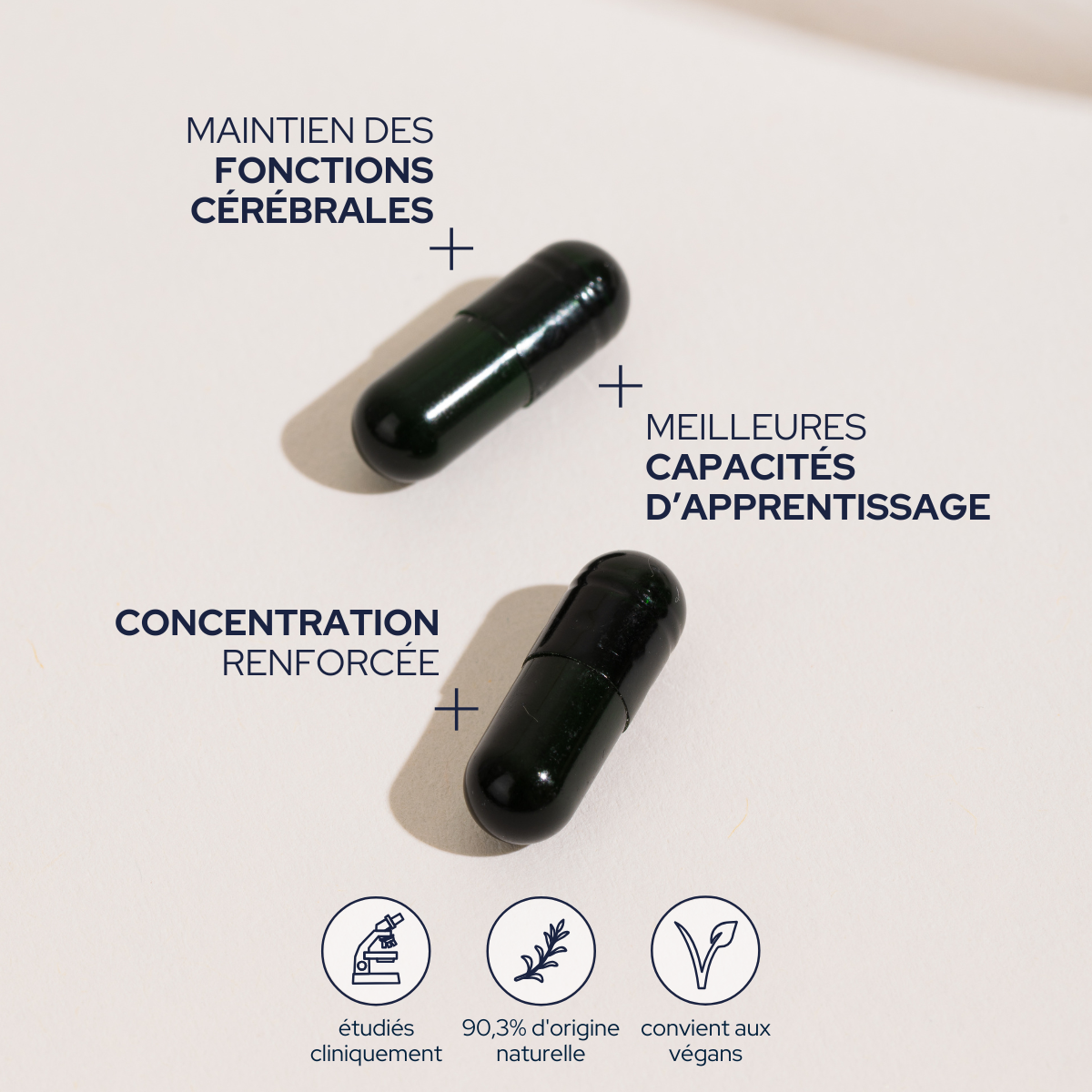 Cure mémoire & concentration