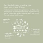 Poudre glutamine & fibres