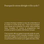 Duo équilibre hormonal & nerveux