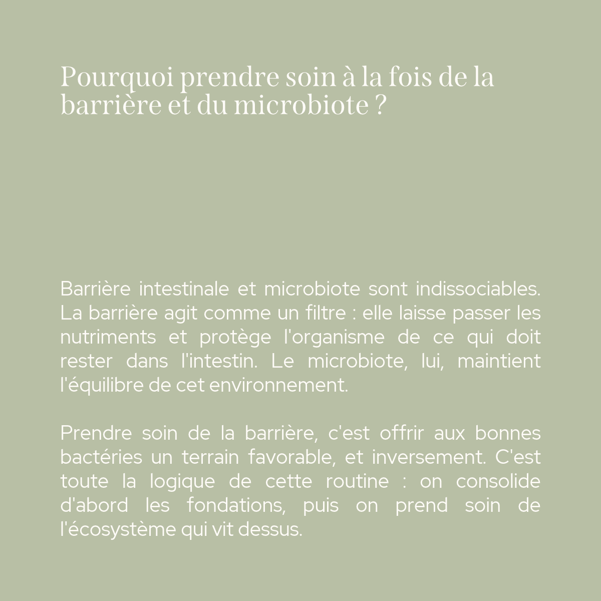 Duo glutamine & probiotiques