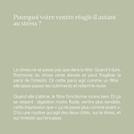 Duo équilibre intestinal & nerveux