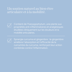 Cure confort articulaire