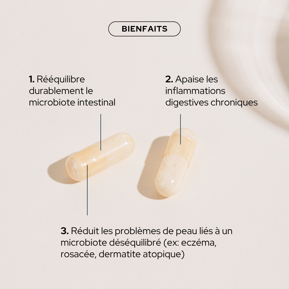 Cure probio & fibres