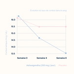 Cortisol Balance Treatment