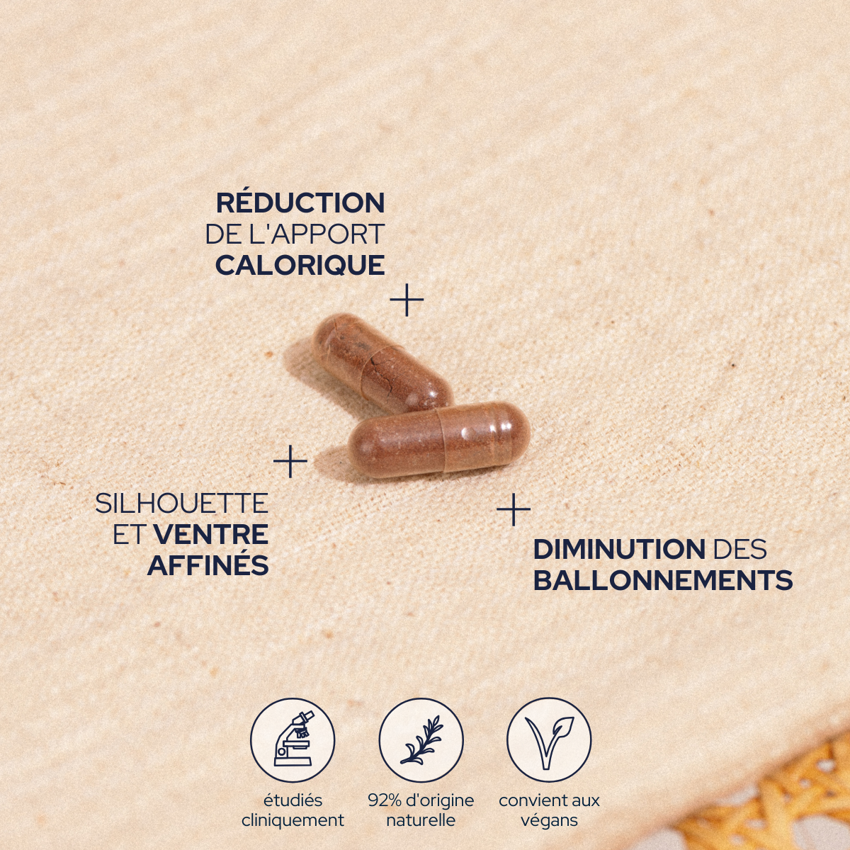 Epycure Cure Ventre Plat - 1 Mois - X60 Gélules - 2/Jour - Santé - Mieux vivre